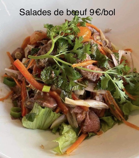 Salade de bœuf